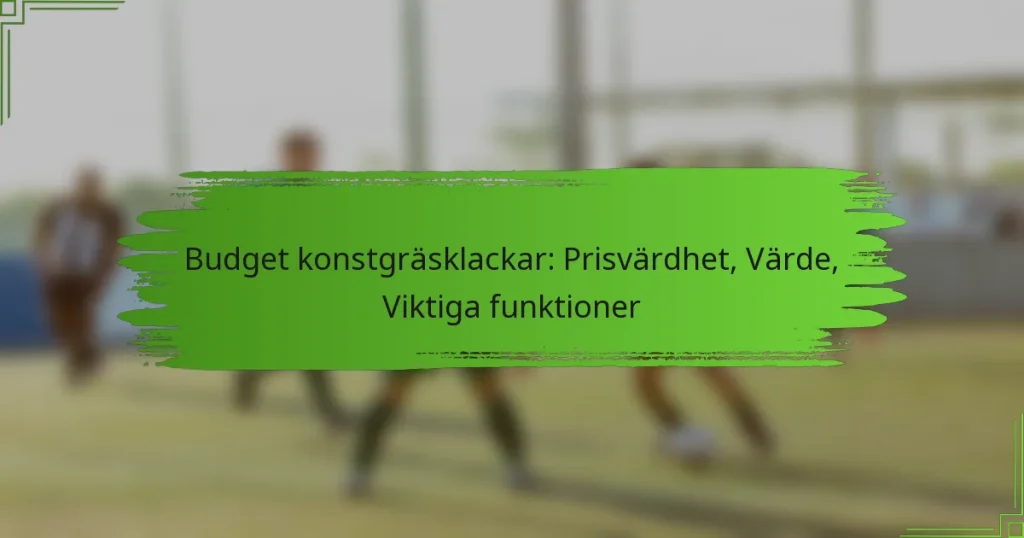 Budget konstgräsklackar: Prisvärdhet, Värde, Viktiga funktioner