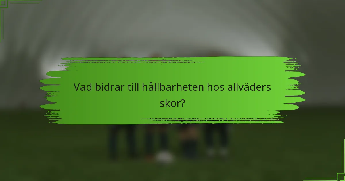 Vad bidrar till hållbarheten hos allväders skor?