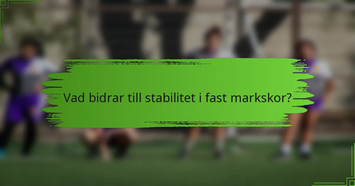 Vad bidrar till stabilitet i fast markskor?