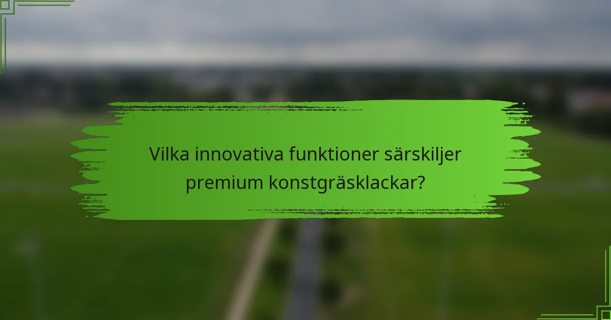 Vilka innovativa funktioner särskiljer premium konstgräsklackar?