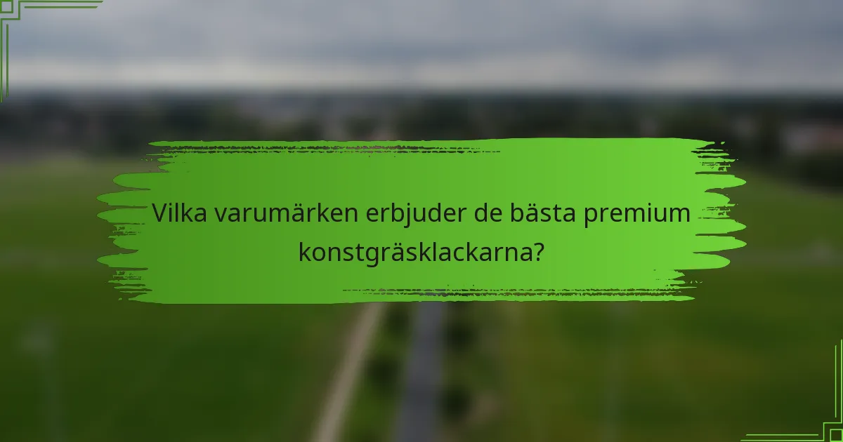 Vilka varumärken erbjuder de bästa premium konstgräsklackarna?