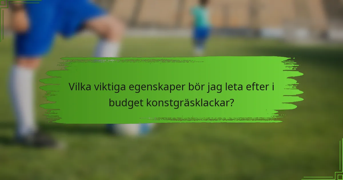 Vilka viktiga egenskaper bör jag leta efter i budget konstgräsklackar?