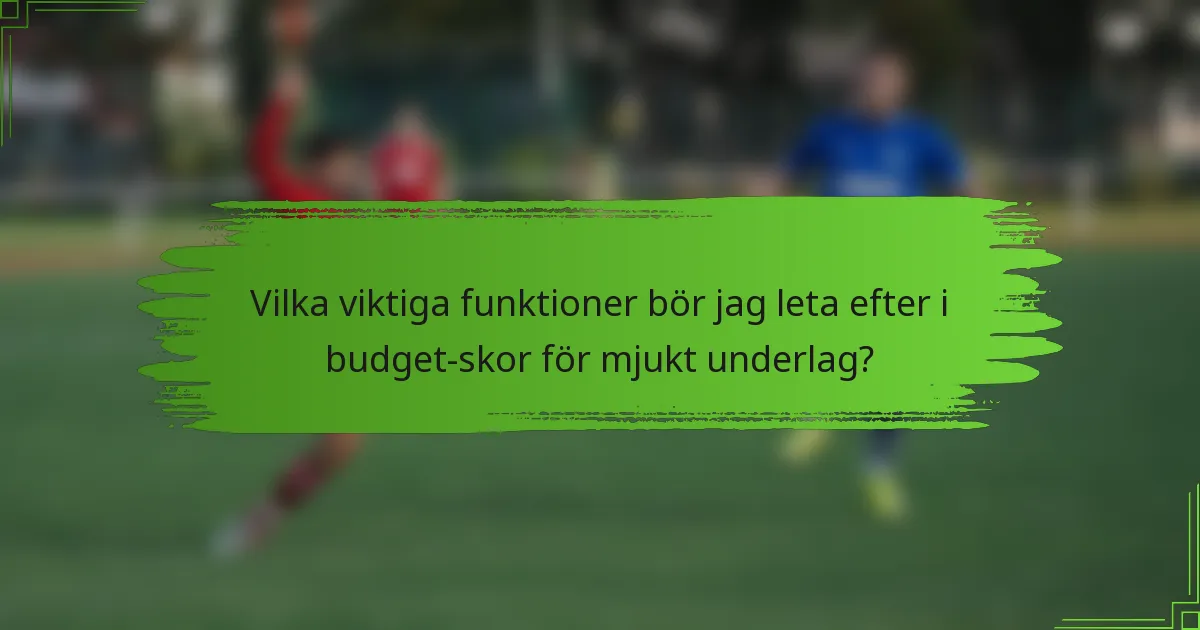 Vilka viktiga funktioner bör jag leta efter i budget-skor för mjukt underlag?